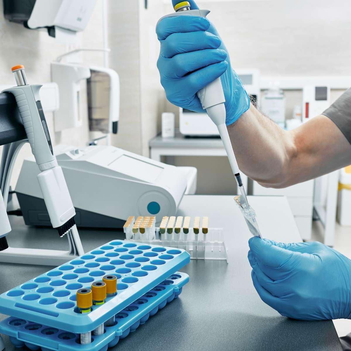 Equipo de laboratorio veterinario y microscopio