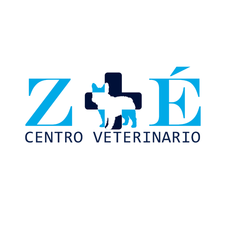 Centro Veterinario Zoé